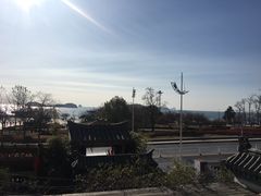 -慢丽江·云南野生菌土鸡锅(付家庄店)