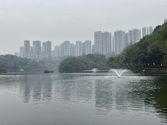 -重庆彩云湖湿地公园