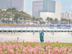 -海心沙亚运公园