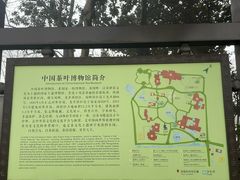-中国茶叶博物馆(双峰馆区)