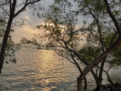 -宝安西湾红树林湿地公园