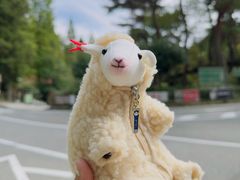 -神户市立六甲山牧场