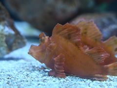 -上海海洋水族馆