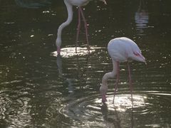 -南京金牛湖风景区