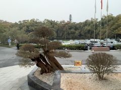 -东湖宾馆-中餐厅