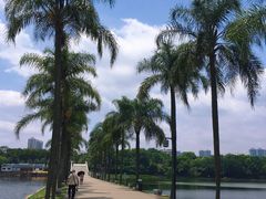 -南宁南湖公园
