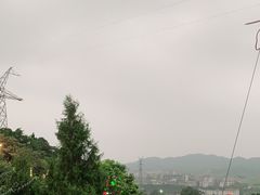 -枇杷园食为鲜火锅(南山店)