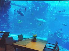 -海棠湾洲际-涛·海底餐厅·美人鱼·自助餐·海底隧道