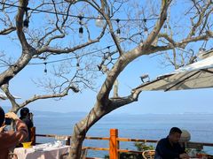 -美人鱼悬崖海景餐厅(鹿嘴山庄店)