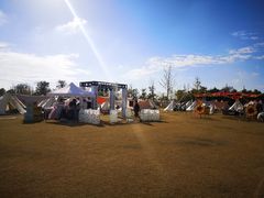 -上海长兴岛郊野公园