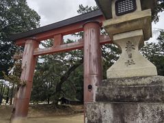 -奈良公园