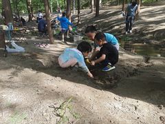 -白水寺森林公园