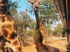 -清迈夜间动物园