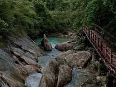 -广州白江湖森林公园