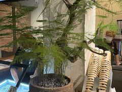 -成川茶店·潮汕工夫浓茶(万象店)