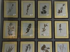 -房山世界地质公园博物馆