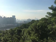-金鸡山公园