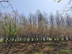 -阳澄湖半岛旅游度假区