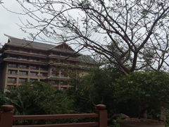 -海口万豪·大堂吧·望海吧.日落海景·下午茶·奶茶·咖啡·轻食·蛋糕·鸡尾酒·清吧