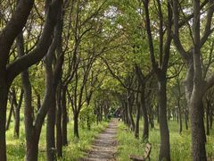 -嘉北郊野公园