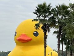 -深圳湾公园(南山区)