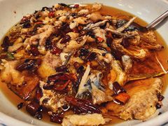 沸腾清江鱼-沸腾鱼家(大尧三路店)