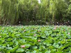 -莲池书院博物馆