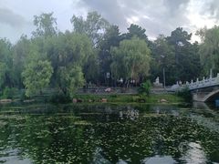 -长春市南湖公园