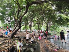 -成都市活水公园