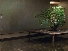 -隐溪茶馆(静安寺店)