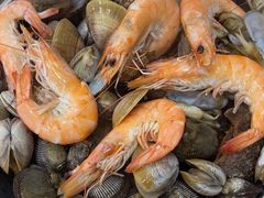 -渔码头食府(蓬莱阁店)
