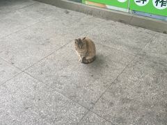 -阿嬷手作(成都万象城店)