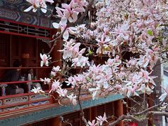 -潭柘寺景区