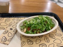 -油梨树 AVOCADO TREE(亮马桥店)