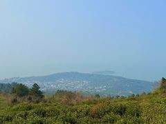 -东山风景区(洞庭东山)