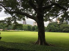 -广州中山纪念堂