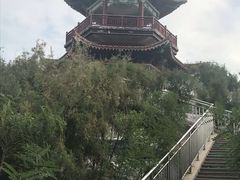 -南大港湿地风景区