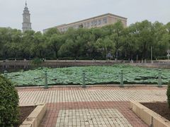 -哈尔滨师范大学(松北校区)
