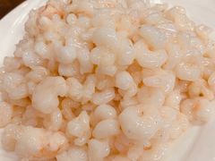 清炒河虾仁-协和菜馆(凤凰街店)