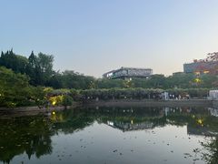 -嘉定紫藤园