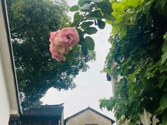 -锦溪古镇