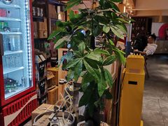 -季夏金枪鱼牛排自助餐厅(海悦天地店)
