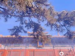 -雍和宫