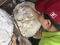 -吉英盐焗鸡(文中路店)