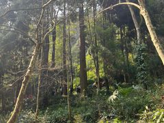 -青城山