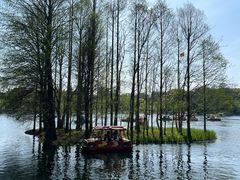 -上海共青森林公园