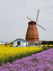 -水八仙生态园