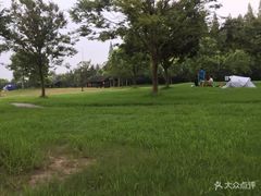 -崇明东平国家森林公园烧烤房车露营地