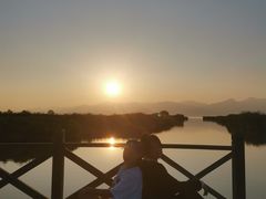 -哈素海