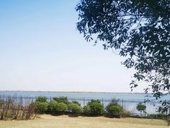 -江滩湿地公园